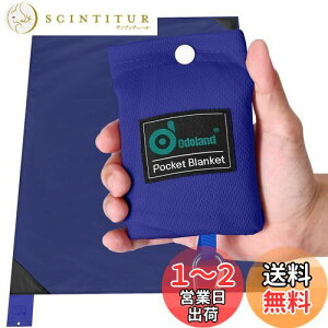 【送料無料】Odoland 防水防砂 レジャーシート 110x160cm テントシート 一体収納袋付き 速乾 軽量 折りたたみ グランドシート ビーチマット ビーチマット ピクニックマット(ブルー)