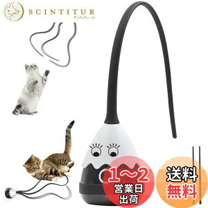 yzPetcronies L  L炵 2in1 ˂̊ߋ  d L LV ˂p  USB[d Sf ybg (ubN)