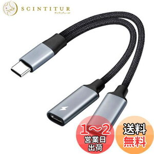 yz2in1 ^CvC[dCzϊP[u Type-CCzWbNUSB C PD[dA_v^ ʘb/ʒ/yCz  ϋv iC҂ ڑP[uΉ Samsung S21/S20/G