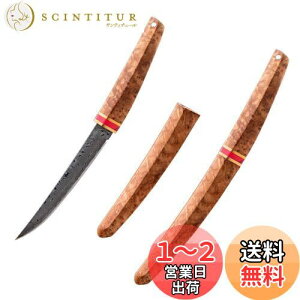 yzIrai Utaki LviCt ToCoiCtyVmz9cm _}XJX| ؏t 芴悭 V[XiCt tBbVO Lv ނ AEghA