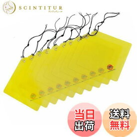 【送料無料】カラスバスター カラスよけ 撃退グッズ 【(20x20cm)x10枚セット】日本製 吊るすのみ 燕の巣守りにも効果的 簡単設置 安全 特許有 鳥害対策 カラス対策 カラスよけグッズ からす近寄らず