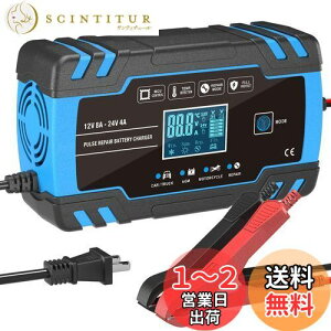 yzAUTOWHD 12V24Vp~obe[[d Sobe[`[W[ C[d@ pX[d 1.5A/4A/8A[dd gN[d 3-150AhpLCD\ ԁoCNgbNKp 