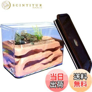 yzUmora Ȃ ALbg ΍p Aώ@Lbg A apP[X A甠  R ώ@L ߋ aȂ