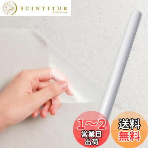 yzRCt ڗɂ ǎیV[g (44.5cm×2.5?) ǎ ی V[g  ΍ \蒼\ \邾ȒP JbgOK V[ rO gC ʏ@ yb