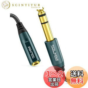 yzSOLMIMI XeIWvO ϊ 300cm 3.5mm~jiXj6.35mmWiIXjI[fBIpwbhzϊvO iC҂ bL I[fBIϊA_v^ ~jvO W