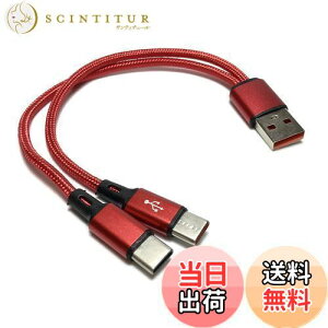 yzAccess y 5A}[d 20cm z USB ҃P[u 2d҂, USB A IX to USB ^CvC 2 IX Y2P[u, 2 in 1 USB^CvC YXvb^P[u + }CNt@Co[NXt USB59R-C
