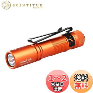 yzACEBEAM Pokelit AA d ^ y  550[PO 3iK F Ra90 IP68h ő9̎s 肵ptH[}X イłƂ ledCg tbV