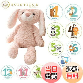 【送料無料】JP-SAKURA【正規品】 撮影セット付 ファーストトイ くま 日本検査済 ぬいぐるみ マイベビーリスト プレゼント (ピンク うさぎ)