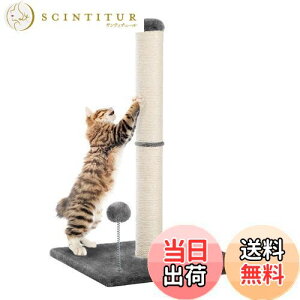 yzPAWZ Road L ܌ SʖR ܌|[ _  c^ L̒܌ TCUR lC Vv ^  ʔ\ ܂ƂLbg^[ X Ly   