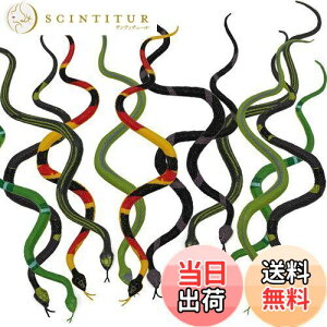 yzHUAZONTOM wr   ߋ A ObY W[NObY hbL Xl[N S ~j 12{ т蔠 U̎ nEB ObY L  K[f  p