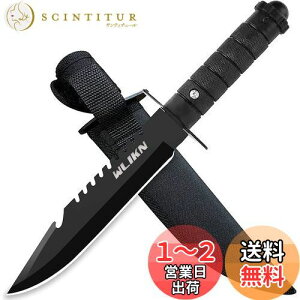 yzWlikn V[XiCt ToCoiCt S280mm AEghA ނ d  o[xL[ Lv P[Xt