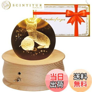 yzyŐVKizIS[ NX}X Mtg Xm[h[ av[g  NX^ {[ Lюc Xm[h[ ̃v LEDCg 1200mAhobe[ Ԑڏ