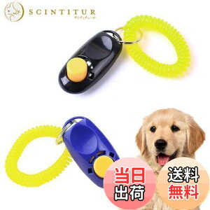 yzCoollooda NbJ[ J ybg  L Ppi XgXgbvt ybgg[jONbJ[Zbg L̃g[jOɕ֗ŌʓI 2