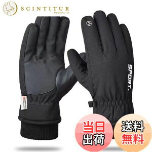 yzWinglosAEghAO[u h܁yNсz X}zΉ H X|[cO[u oCNO[u hO[u Ԋ ۉ   N h h 