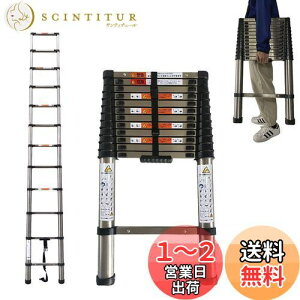 yzDayPlus Lk͂ XeX 3.8m ܂ݐLkq ^т₷y @\ ω׏d150 kg bN SbN XCh XeX|̂͂ Op {