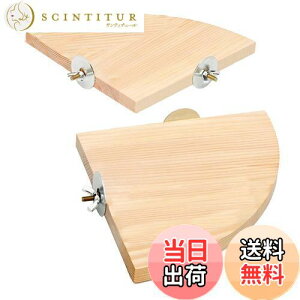 yzYFFSFDC 2Zbg CR Ƃ܂ X^h P[W p~܂   IE  XpCp[` nX^[  Ȃǂ VRf ނ P[W(10