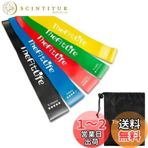 yzTheFitLife g[jO`[u ؃g`[u tBbglX`[u (////)