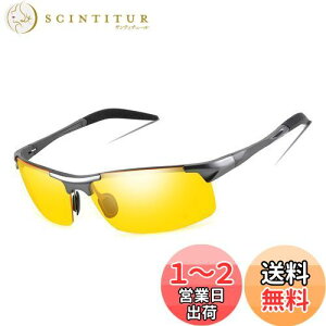 yz[FEISEDY] Y ΌTOX p UV400ی y TOX fB[X  ^]p^ނ B2442 (CG[Y)