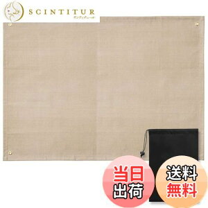 yzCARBABY ΃V[g Xpb^V[g ϔMV[g RV[g ΑV[g - Őی Xpb^h~ KX@ ω h h V[g Lv Ηp [ܕt 100×100cm