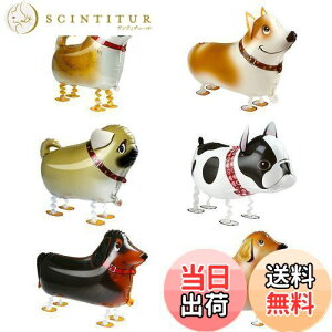 yzKesote D  EH[LOD o[ 6 a p[eB[ q̓ v[g