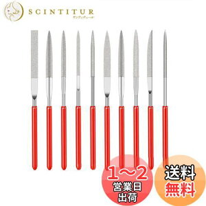 【送料無料】Bestgleミニダイヤモンドヤスリ 10本組 ヤスリセット金工用ヤスリ 金属用研磨ヤスリ 鉄工用ヤスリ 丸/半丸/平/角/三角 木工用ヤスリ DIY研磨用ツール 2mmx100mm