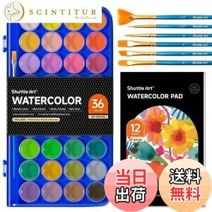 yzShuttle Art Ō` G̋ 36FZbg ő̐  N₩ pbg v`J[ uVƉpt F F n₷  􂦂 ϋv XPb` ʐ s ֗ 