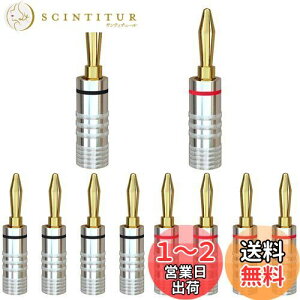 yzCleqee 24KbL 8{Zbg oiivO Xs[J[P[uRlN^[ ˂ݎ ͂񂾒[q I[fBIWbNRlN^ Xs[J[C[p Xs[J[vO