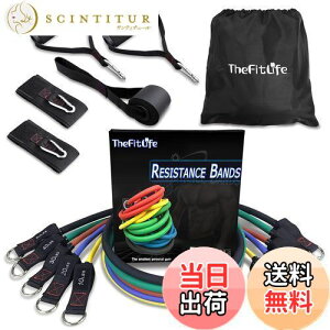 yzTheFitLife g[jO`[u `[u g[jO ؃g`[u (////)