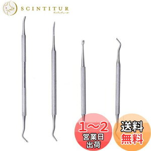 【送料無料】爪垢取り ステンレス製 爪リフター 爪やすり ゾンデ 甘皮処理 巻き爪 厚い爪 足 爪ケア フットケア ネイルケア 4点セット