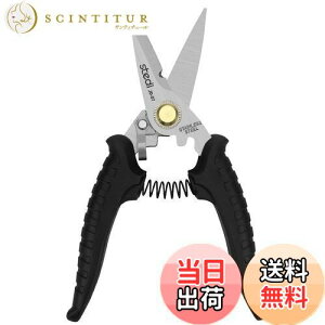 yzstedi\͂ݍdHnT~ dxXeXP[uJb^[ydCR[hEzEEJ[ybgEz