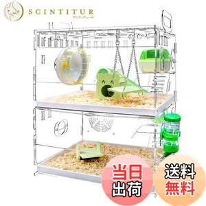 yzYOKITOMO nX^[P[W tNK  g ^т₷ g[fUC |₷I ʋC 2KfUC AN (ΐF)