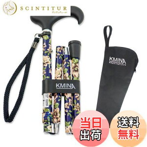 yzKMINA PRO - ܂肽ݏA pA p ApXebLAEH[LOXeBbN ҁAt[vgA߉\