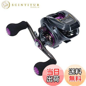 yz_C(DAIWA) LIGHT SW X IC R JE^[txCg[