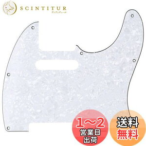 yzMusiclily Pro 8eLX^[psbNK[h { Fender Japan TelecasterpAzCgp[4P