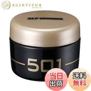 yzDaiwa SLP WORKS(_CSLP[NX) SLPW RlN^[OX501 DAIWA d[ dRlN^[pOX