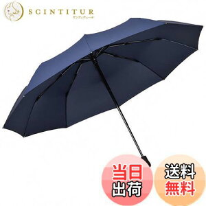 yzTAIKUU ܂肽ݎP v y 傫TCY 10{ ܂ݎP  ϕ ɋ ܏P Y 蓮  PP[Xt(u[)