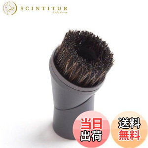 yzEZ SPARES N[i[pʔuVinѐ VRсjjo[TۃuV |@ANZT[ pimielȇɁj