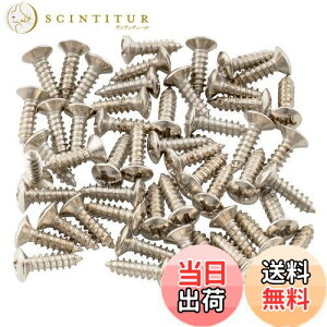【送料無料】Musiclily ピックガード用ビス フェンダータイプ エレキギター用ネジ 3x12mm、クローム(50本セット)