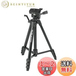 yzXbN SLIK A~Or GX 6400 4iLk^Cv S154cm o[bN 3EFC_ NCbNV[ ჌t/~[X/ANVJ/rfIJΉ 216835