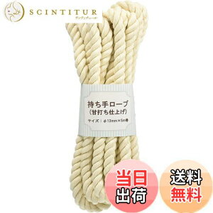 yz{Rtf(Nippon Chuko) 胍[v Ñłdグ@ 12mm×5m |  pr[v AEghA ybgp S3-1