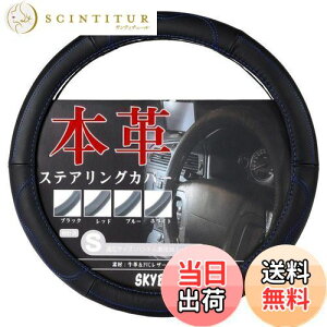 yzXJCx nhJo[ y sTCY {v  y ʎ XeAOJo[ U[ SKYBELL (u[Xeb`)