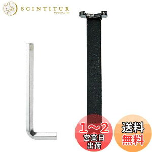yzSANEI(Ж:Oh𐻍쏊)H t` Ε24mmp 210mm | Zp`t PR351