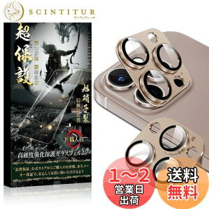 yzEsputunk iPhone16 Pro JtB JJo[ iPhone16 ProMax YیtByKXA~-2 Sʕی Nx ߗzKXA~̌^ 