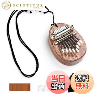 yzJoebo ~jJoewsAm8L[ |[^usAmy_g ؍ wsAm wŊy wIS[ S҃Zbg qlSҌ (AJVA - ȉ~`)