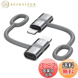 yzRAVIAD Type C to CgjO ϊA_v^ (2Zbg) 36W PD}[d PD`bv f[^] USB-C i-Phone ϊRlN^ A~O VRoh݌v ^CvCiOSϊ