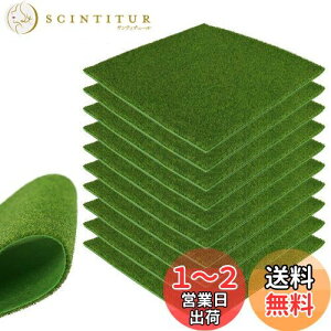 yzlH ͌^ 10Zbg ~j lHێŐ}bg3mm 20*20cm OX͌^ f  i  S͌^ WI} DIY (O[CG[)