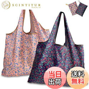 yz[GOKEI] GRobO y2 50×67cm eʁz ܂肽 obO RrjobO hf [ ≘ɂ y RpNgi`F[*2j