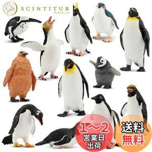 【送料無料】TOYMANY 12PCSペンギンフィギュア 南極動物フィギュアセット 南極圏 リアルな動物模型 人気動物 おもちゃ 玩具 誕生日プレゼント 飾り物 クリスマス 新年 コレクション 6歳以上