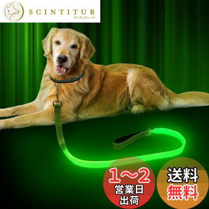 yz [h  UCg led[h 1.2m  USB[d [hCgt F500mŖԈS ^ ^ ybgpi (O[{ˎ3{)
