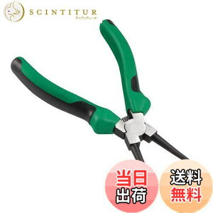 yzDFsucces z[XvC[ JbvOc[ O炭炭 Jv[vC[ v t ԗp H  (O[)